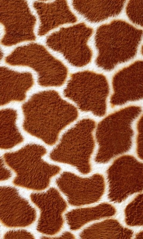 Шкура жирафа