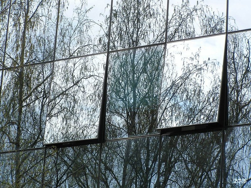 Отражение в окне