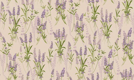 Фон Прованс