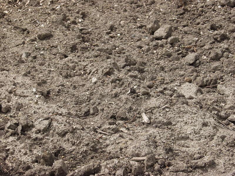 Текстура земли