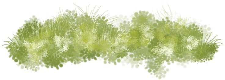 Акварельные деревья вид сверху