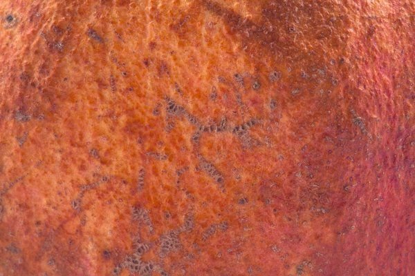 Кожура текстура