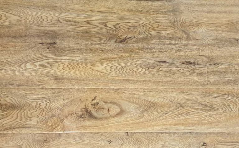 Дуб ирландский u31156