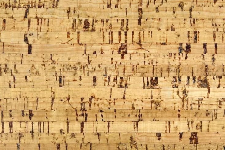 Пробковое дерево текстура