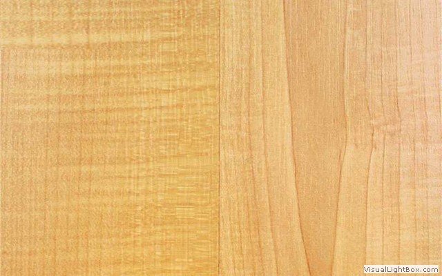 Клен текстура древесины