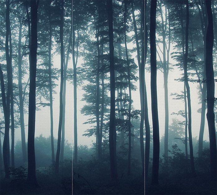 HDRI туманный лес