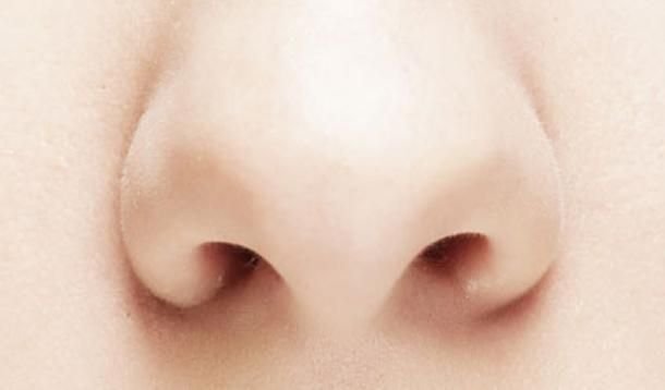 Человеческий нос