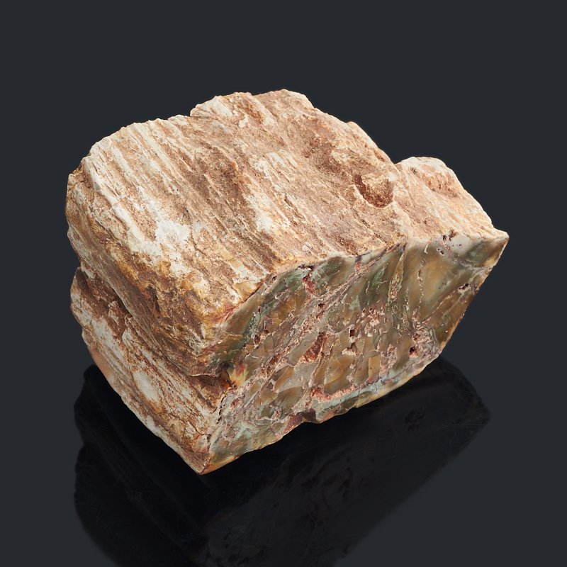 Яшма окаменелое дерево