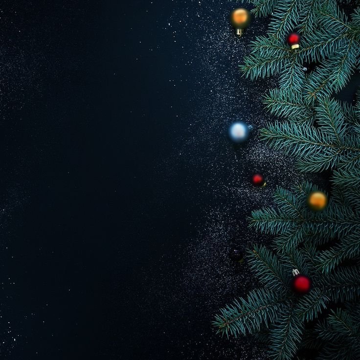 Новогодняя елка на черном фоне