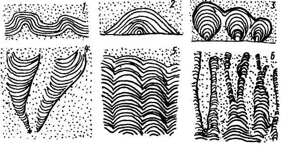 Строматолиты в разрезе
