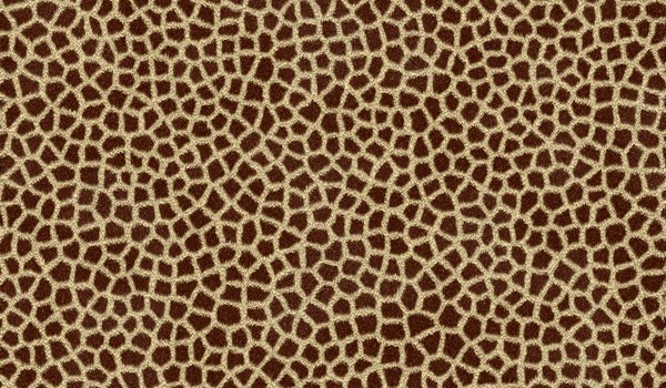 Леопардовая шкура