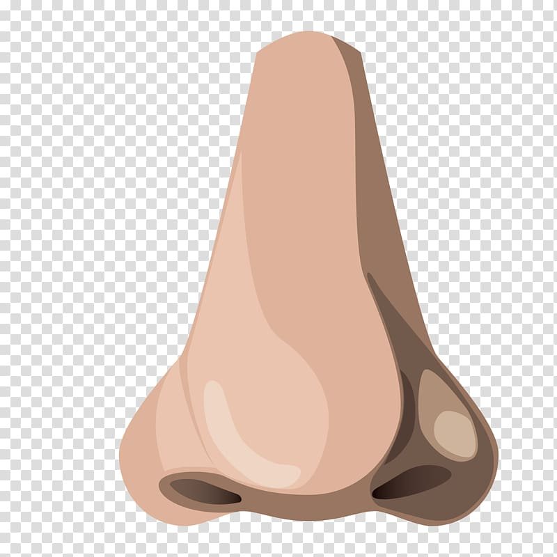 Нос на прозрачном фоне