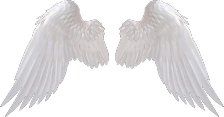 Белые Крылья