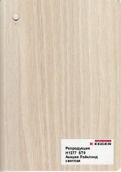 H1277 st9 Акация лэйклэнд светлая