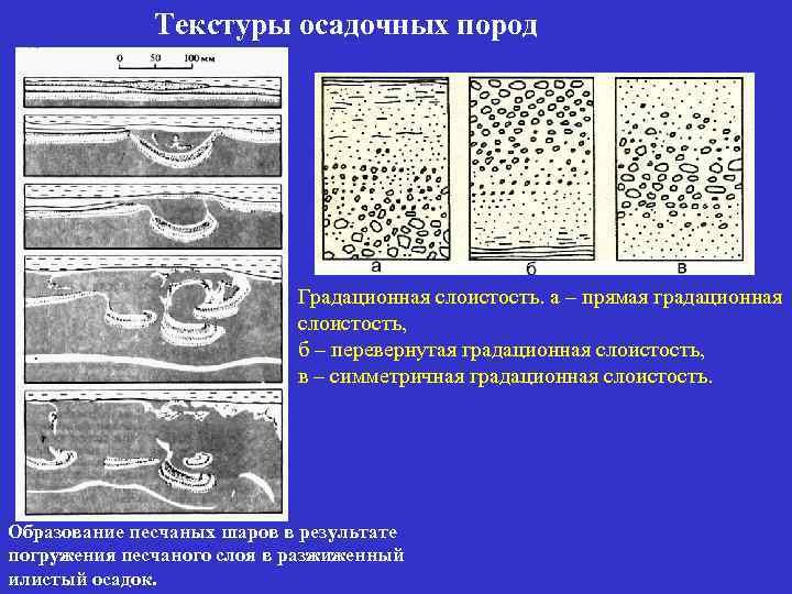 Текстура и структура осадочных пород