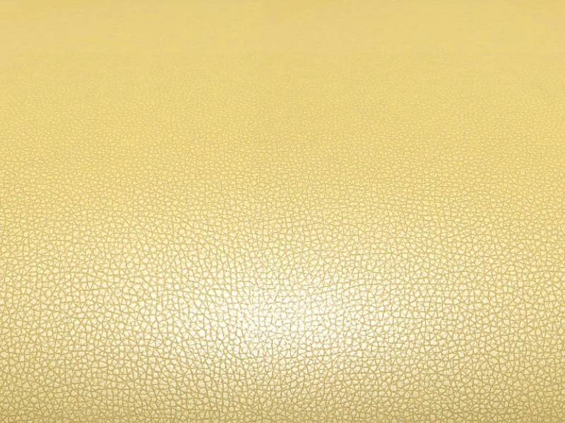 Золотая кожа