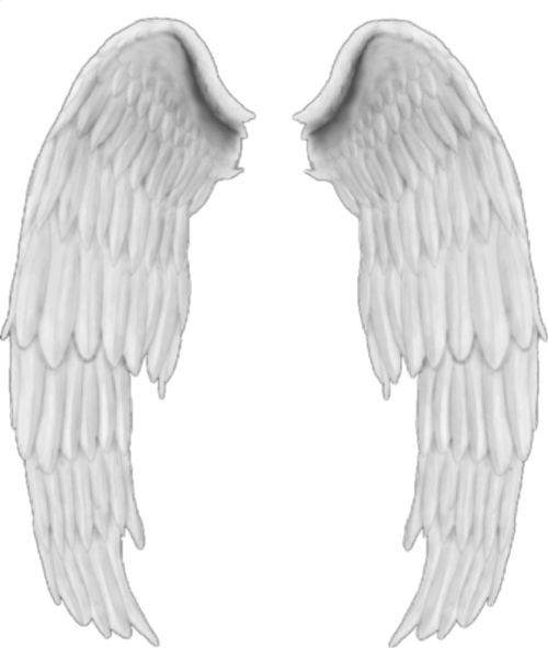 Крылья ангела на прозрачном фоне