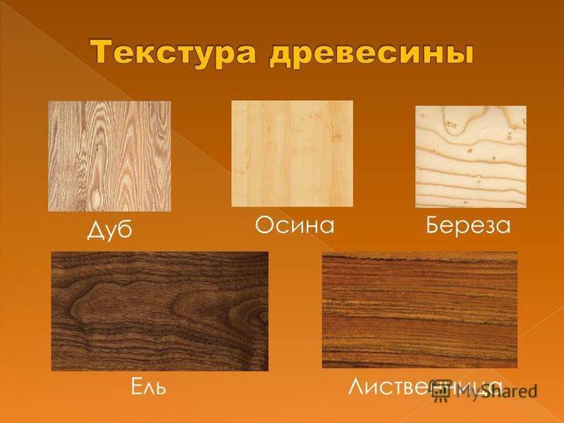 Виды древесины