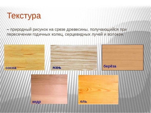 Структура дерева рисунок