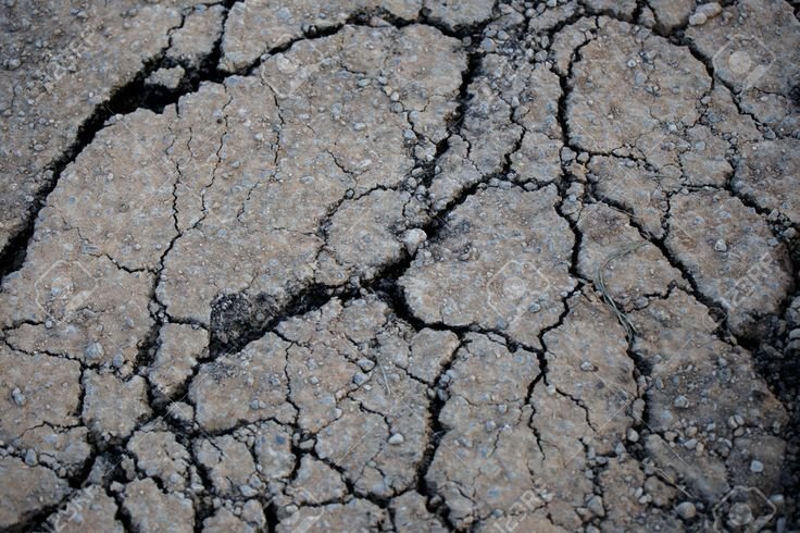 Трещины на асфальте текстура