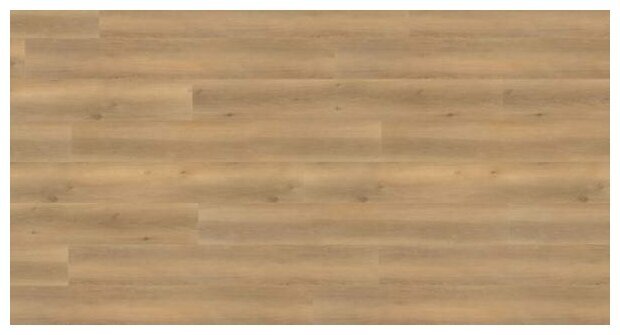 Дуб Винченца h3157