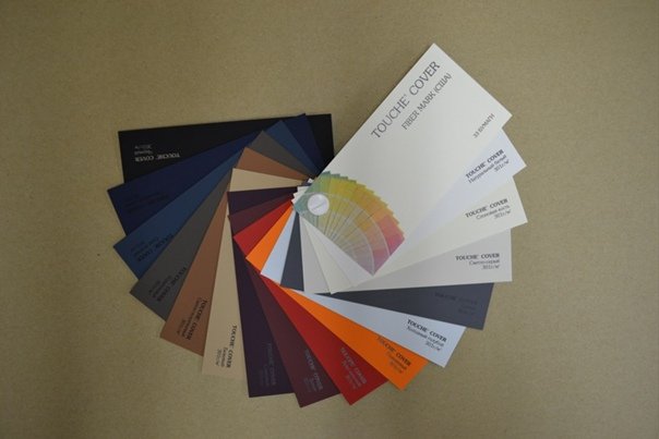 Тач кавер touche Cover