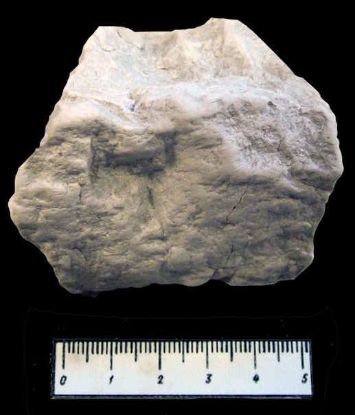 Диатомит Горная порода