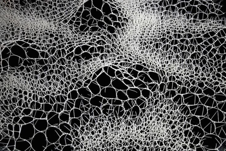 Текстура органики