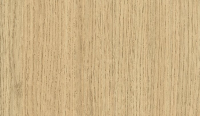 Дуб Винченца