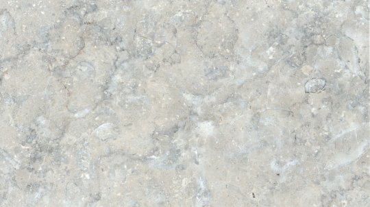 Мраморизированный известняк