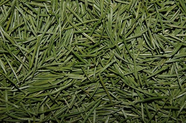 Текстура иголок