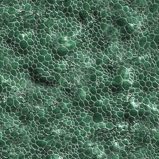 Текстура органика