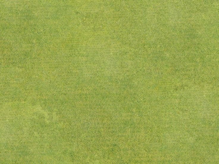Газон текстура