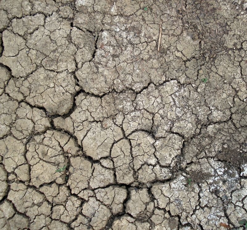 Интересные фактуры