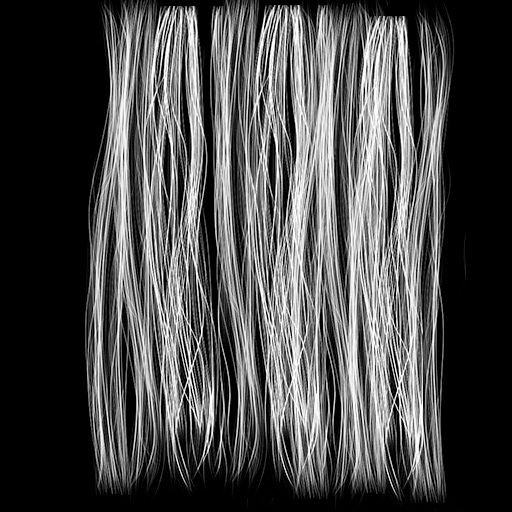 Текстура волос