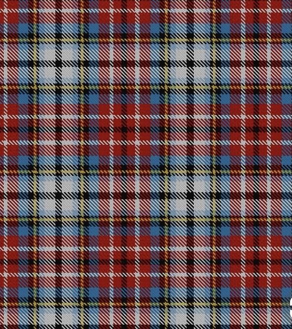 Тартан Берберри