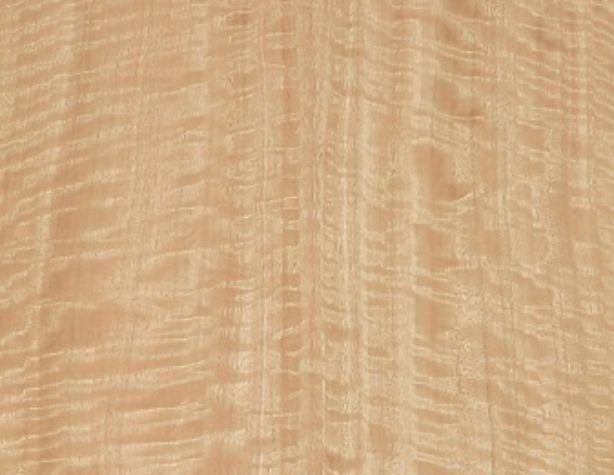 Шпон Tabu эвкалипт e5.s.002