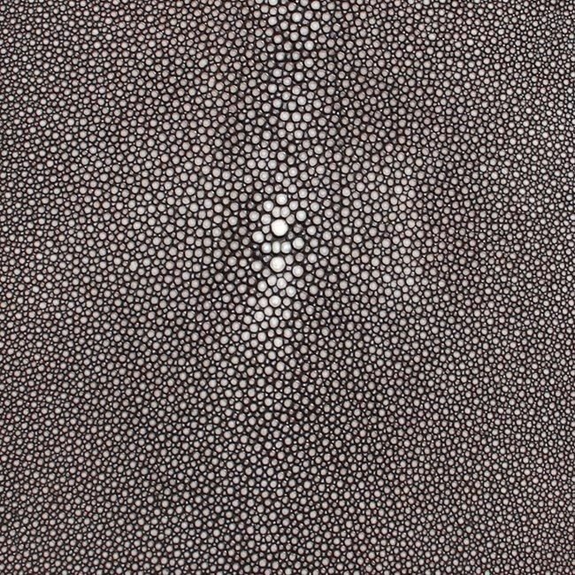 Кожа ската текстура