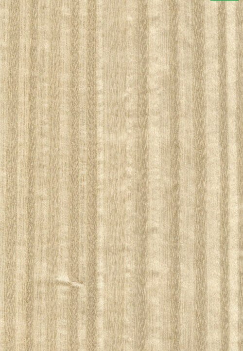 Шпон эвкалипт e5.s.005