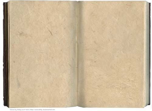 Пустая страница старой книги