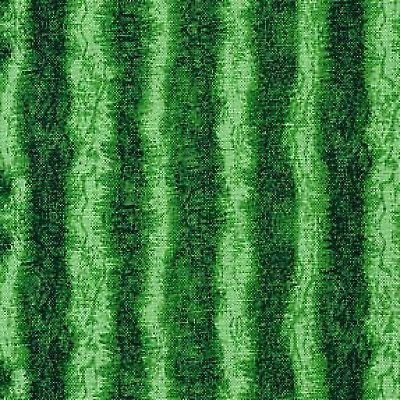 Текстура корки арбуза