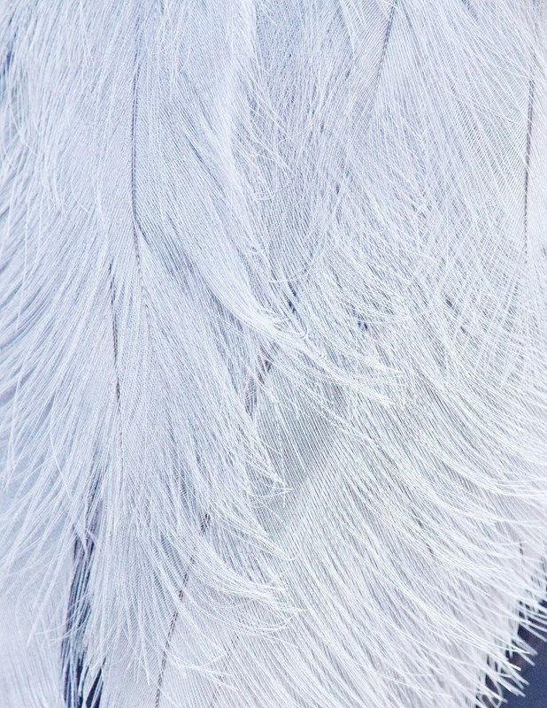 Белоснежные перья