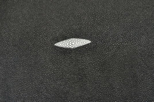 Кожа ската текстура