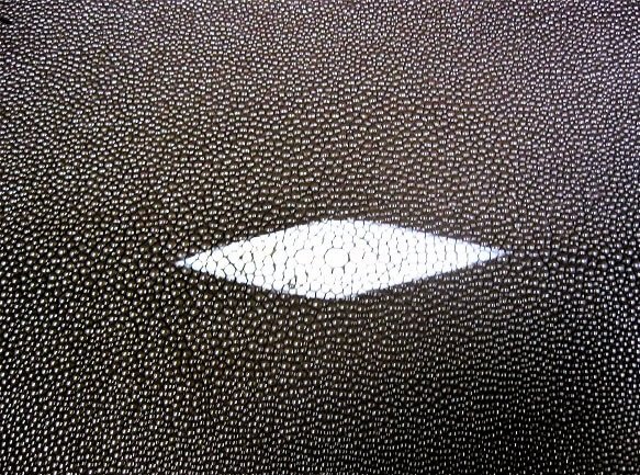 Кожа ската белая