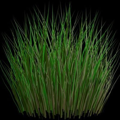 Текстура травы