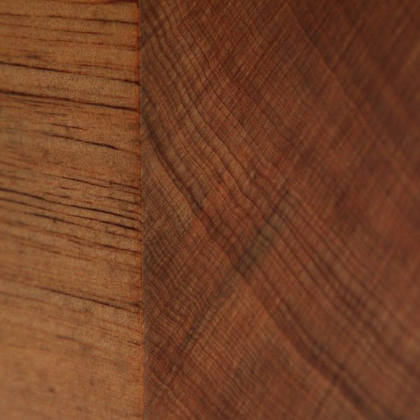 Агатис древесина