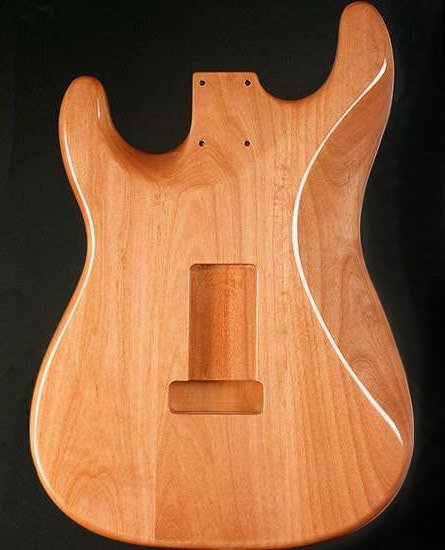 Агатис структура