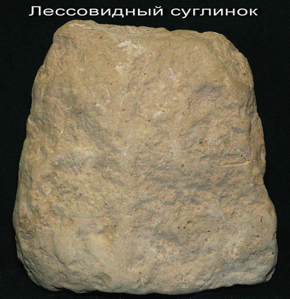 Лессовидные суглинки