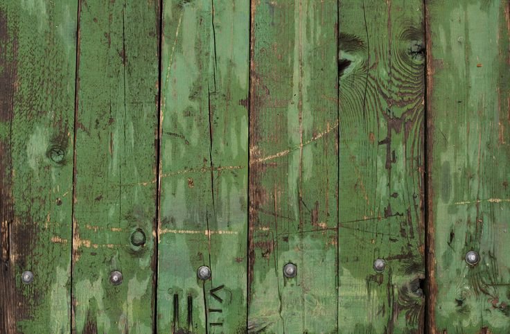 Зеленая древесина