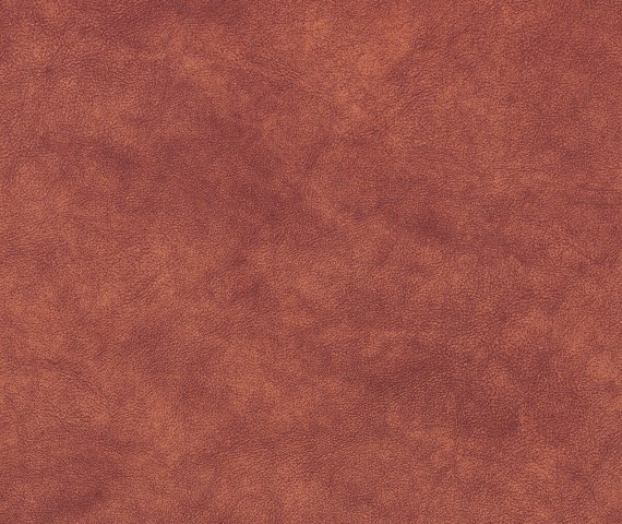 Текстура кожи